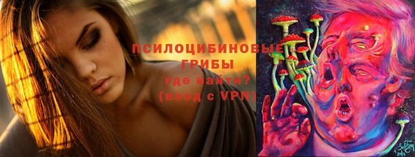 марки lsd Болотное