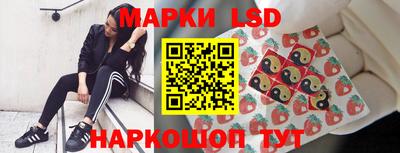 прущие грибы Гусиноозёрск