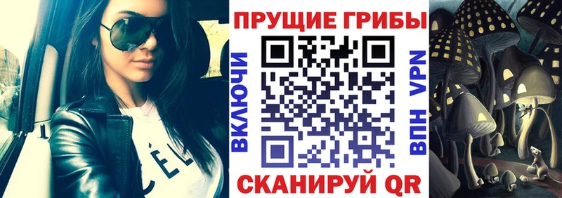 Галлюциногенные грибы мицелий Волоколамск