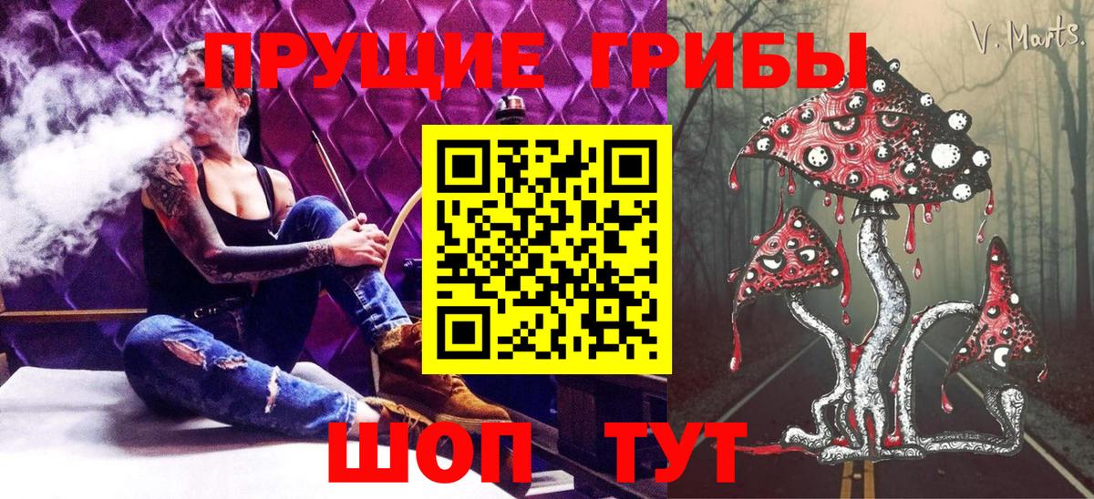 Псилоцибиновые грибы мицелий Волоколамск