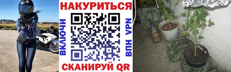 Канабис MAZAR  Волоколамск 